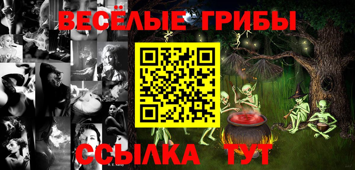 Шадринск  купить наркоту  Псилоцибиновые грибы GOLDEN TEACHER  Вход с VPN  Галлюциногенные грибы Cubensis 